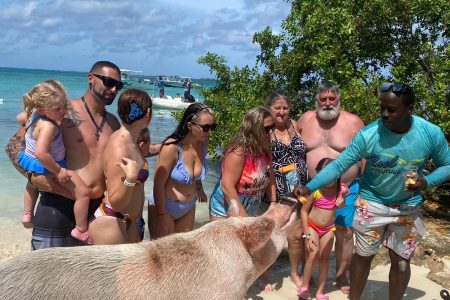 4- Hour Island Hopping, Turtles, Swimming Pigs; Unlimited Bahama Mama