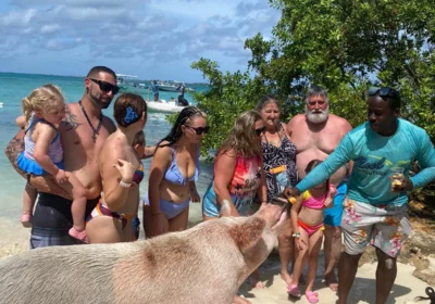 Private 4 Hour Island Hopping Experience | Turtles 🐢 Pigs 🐖 Snorkeling 🤿 Beach Day