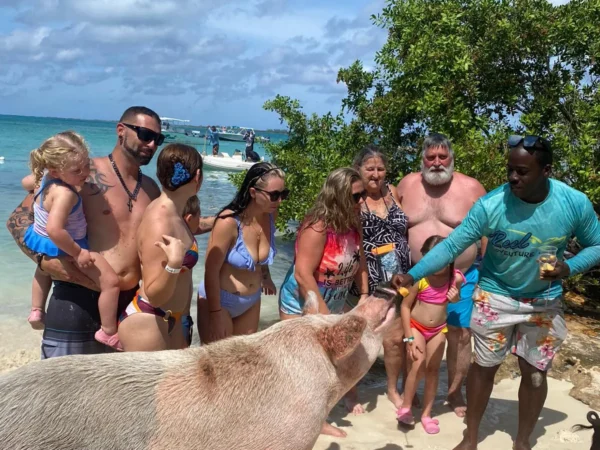 Private 4 Hour Island Hopping Experience | Turtles 🐢 Pigs 🐖 Snorkeling 🤿 Beach Day