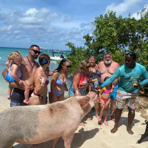 Family and crew feeding a large swimming pig at the water's edge near Nassau, Bahamas