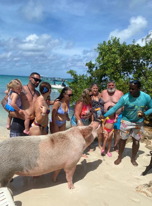 Family and crew feeding a large swimming pig at the water's edge near Nassau, Bahamas