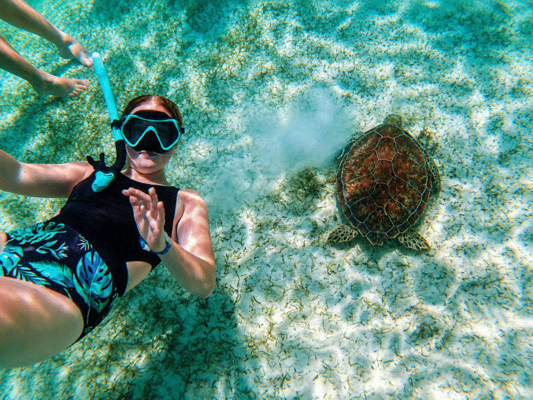 Swimming w turtles