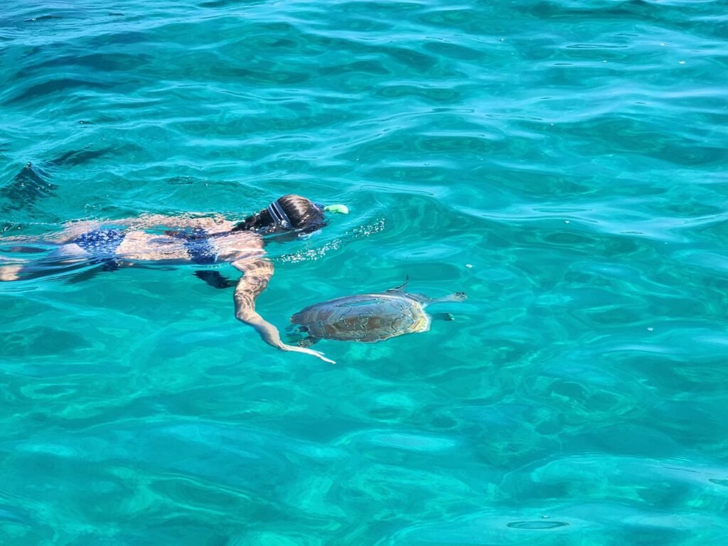 Guest snorkeling beside a sea turtle in clear turquoise water near Nassau