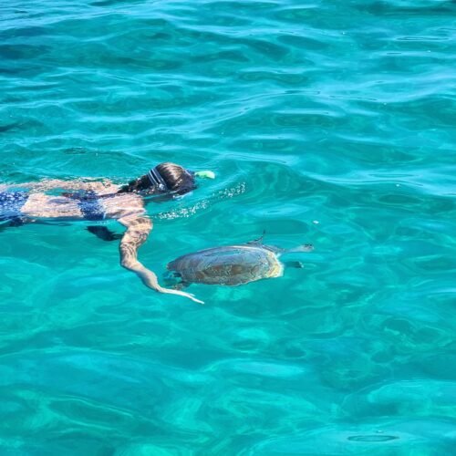Guest snorkeling beside a sea turtle in clear turquoise water near Nassau