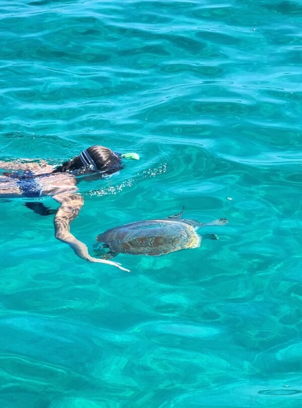 Guest snorkeling beside a sea turtle in clear turquoise water near Nassau