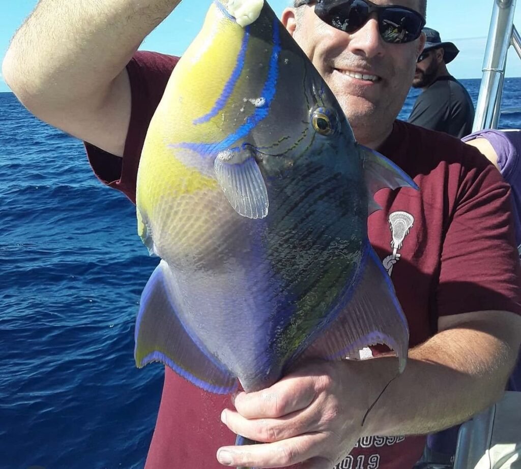 Guest holding a colourful triggerfish caught on a Nassau fishing charter