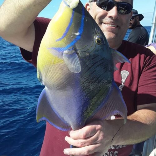 Guest holding a colourful triggerfish caught on a Nassau fishing charter