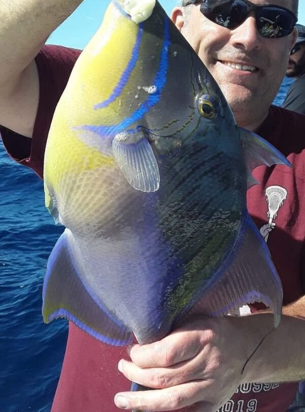 Guest holding a colourful triggerfish caught on a Nassau fishing charter