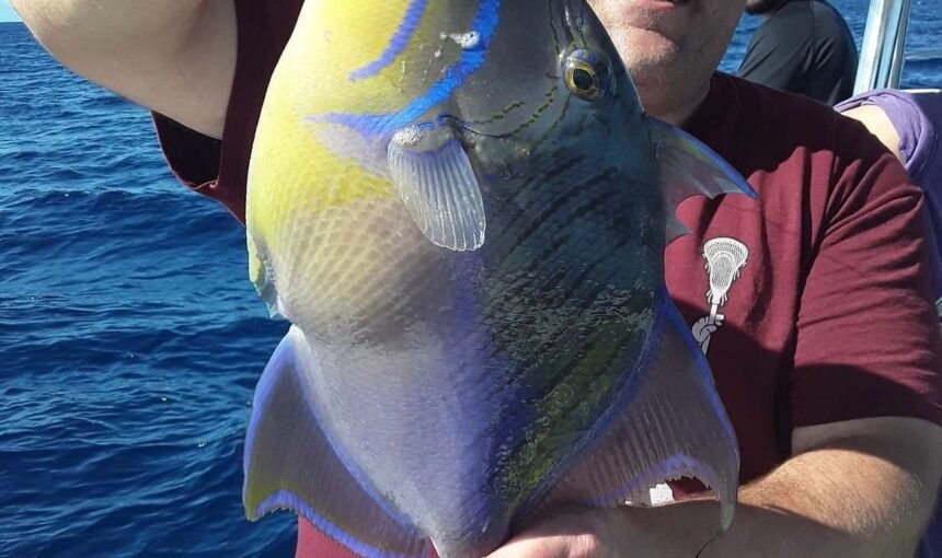 Nassau Fishing Charter Guide: What You Can Catch, When to Go and What to Bring
