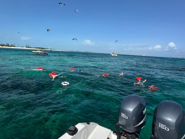 Private 8 Hour Island Experience | Beaches 🏝️ Turtles 🐢 Pigs 🐖 Snorkeling 🤿 Full Day Adventure