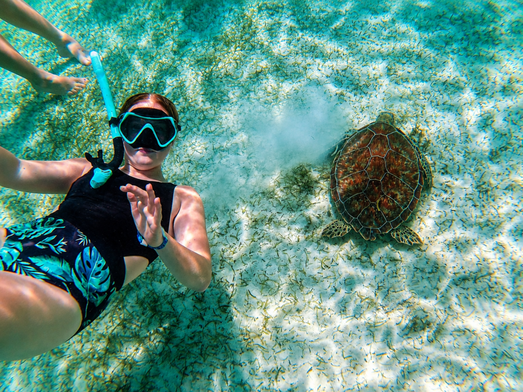 Snorkeler swimming with a sea turtle near Nassau, Bahamas