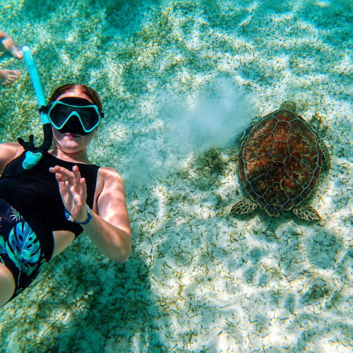 Snorkeler swimming with a sea turtle near Nassau, Bahamas