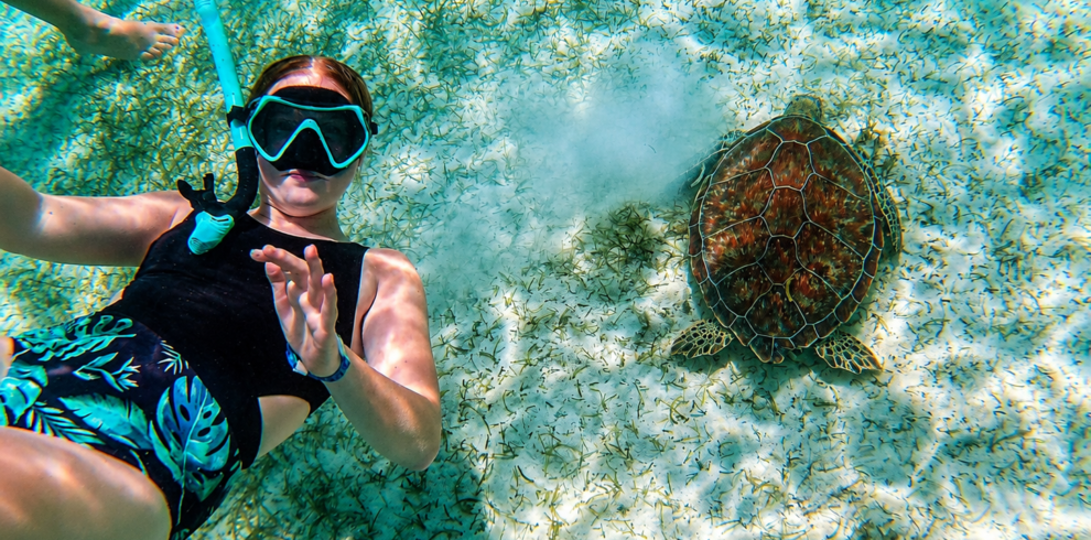 Snorkeler swimming with a sea turtle near Nassau, Bahamas