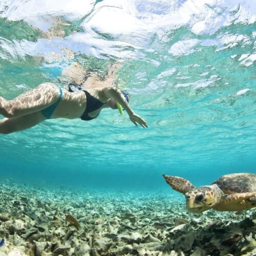 Snorkeler swimming with a sea turtle over the reef near Nassau, Bahamas