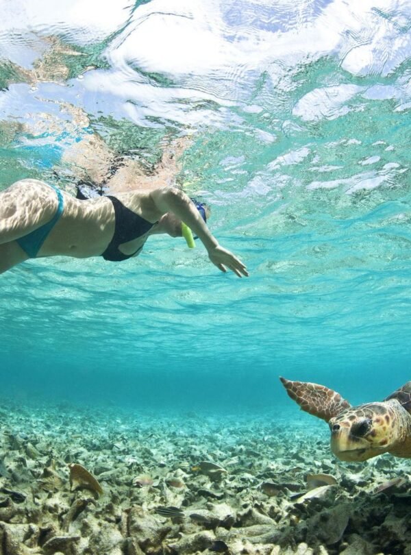 Snorkeler swimming with a sea turtle over the reef near Nassau, Bahamas