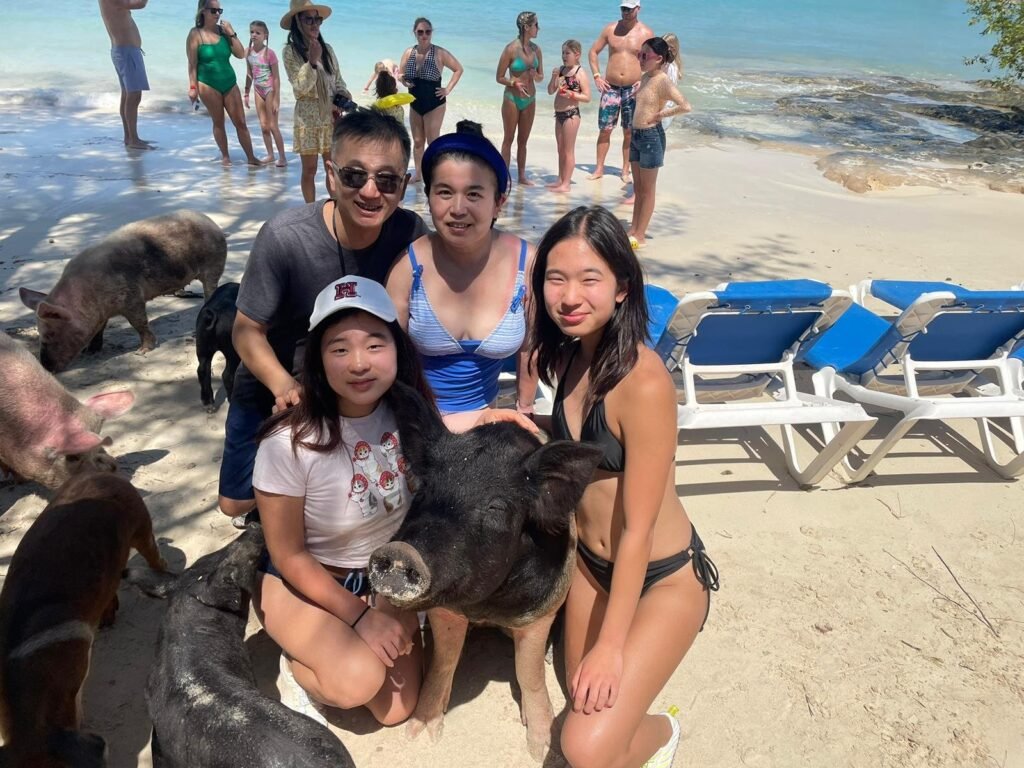 Guests posing with the swimming pigs on the beach near Nassau, Bahamas