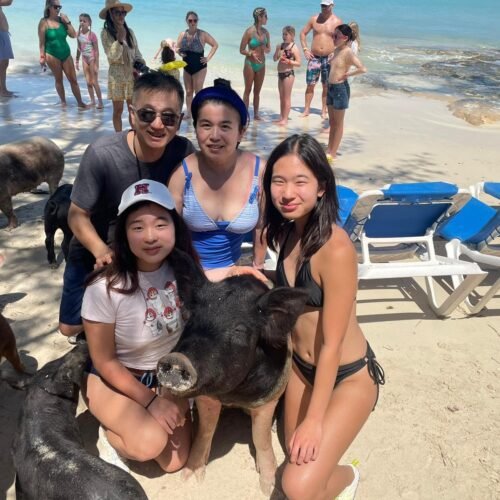 Guests posing with the swimming pigs on the beach near Nassau, Bahamas