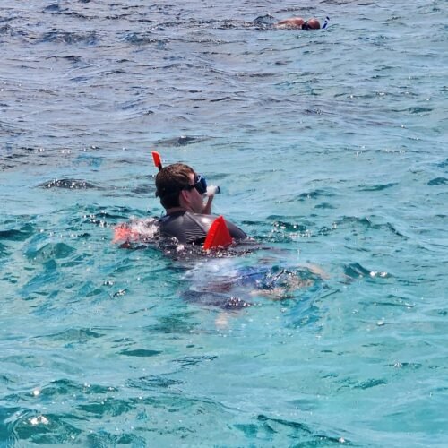 Snorkeler exploring the clear shallow water on an island hopping tour