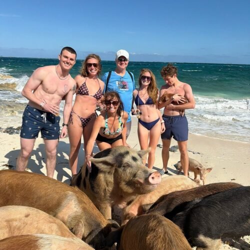 Group surrounded by swimming pigs on a private island tour near Nassau