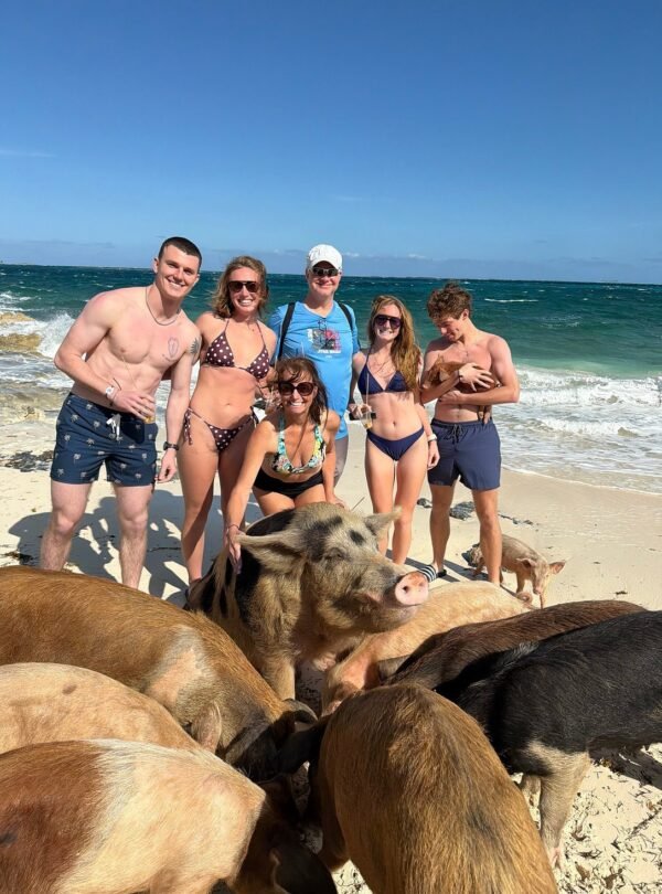 Group surrounded by swimming pigs on a private island tour near Nassau