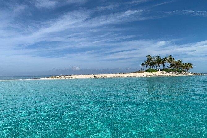 Gilligan's Island sandbar with palm trees