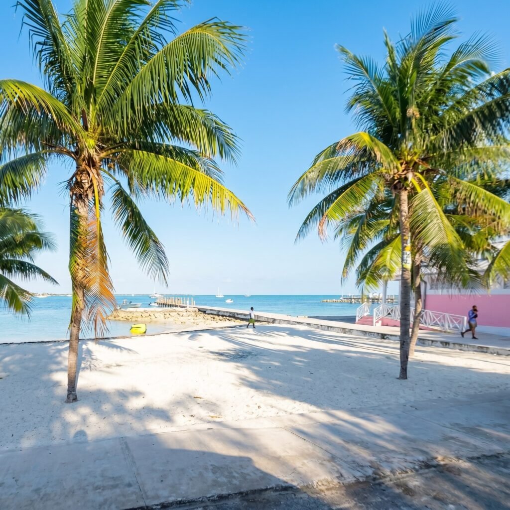 Montagu Beach