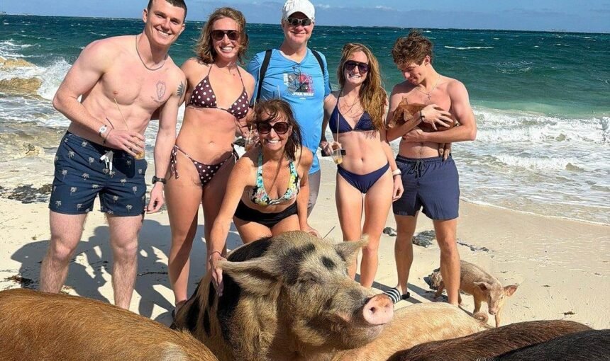 The Truth About Swimming With Pigs