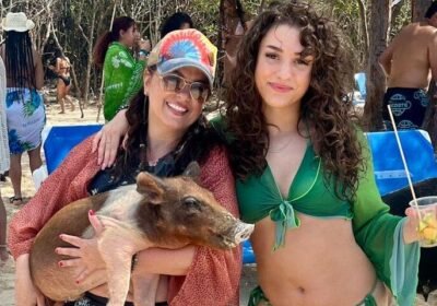 A Softer Side of Pig Beach