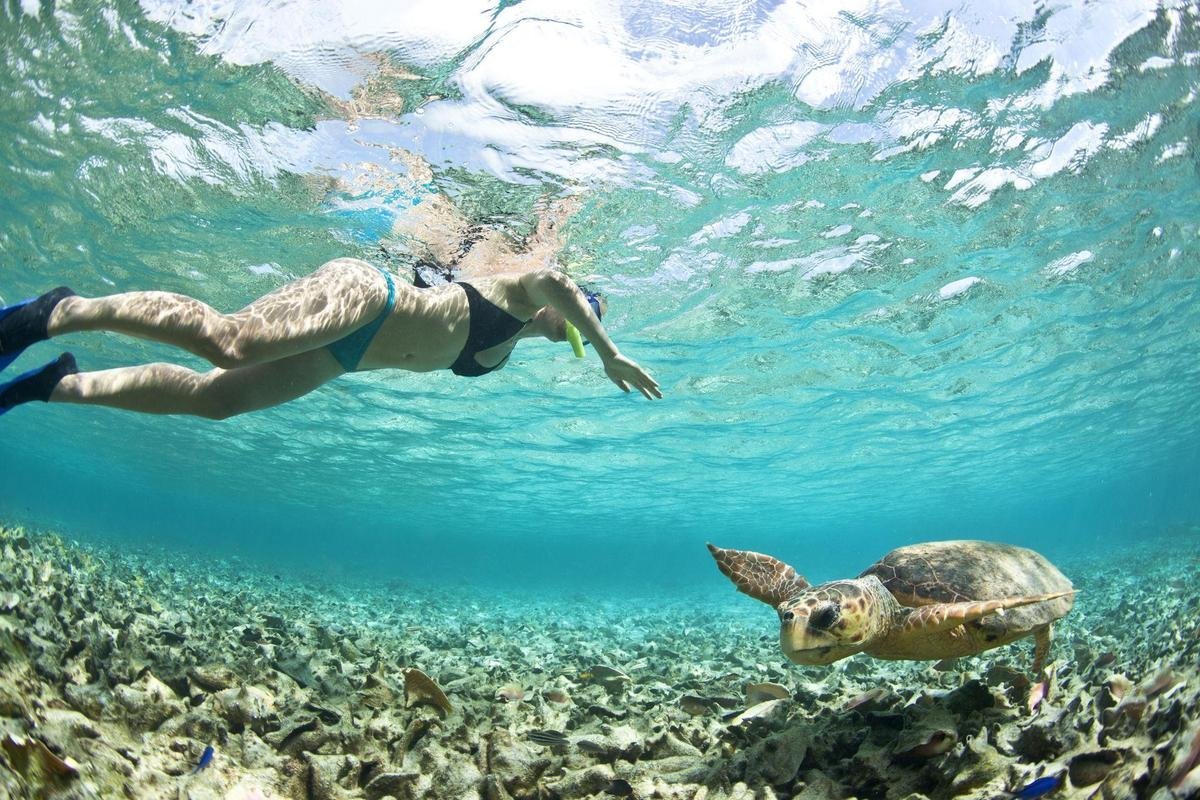 Snorkeling with a sea turtle near Sandy Cay